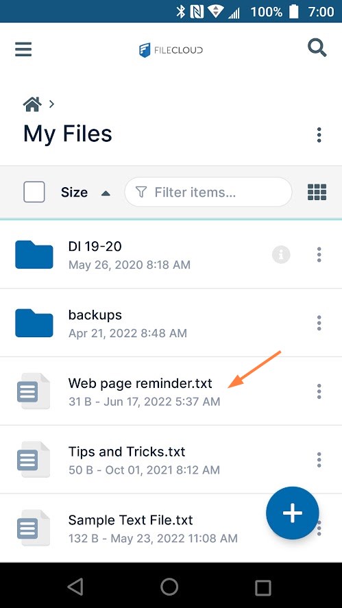 Android NewTextFile.jpg