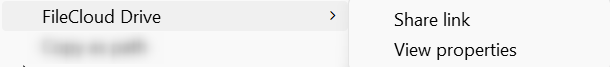 FileOptions.png