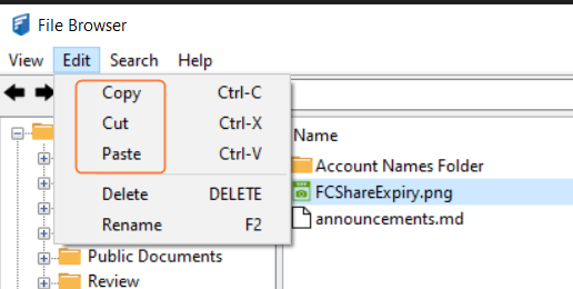 FCFBCutCopyPaste.png