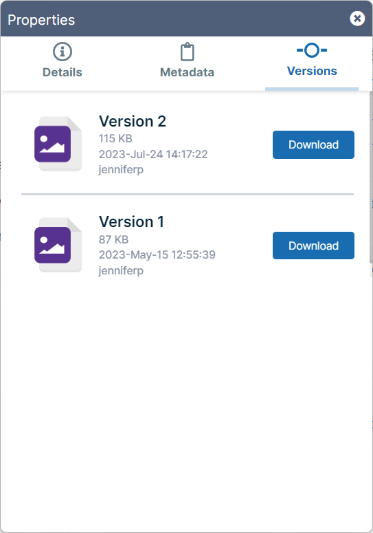 FileVersions.png