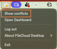ShowConflicts.png