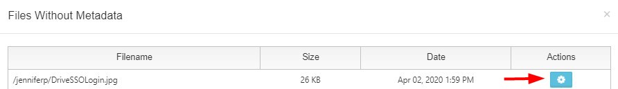 WebMetdataAction.jpg