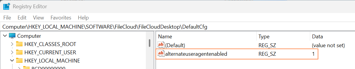 alternateuseragentenabled.png