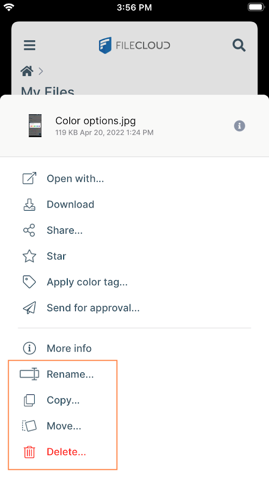 iOS Options.PNG