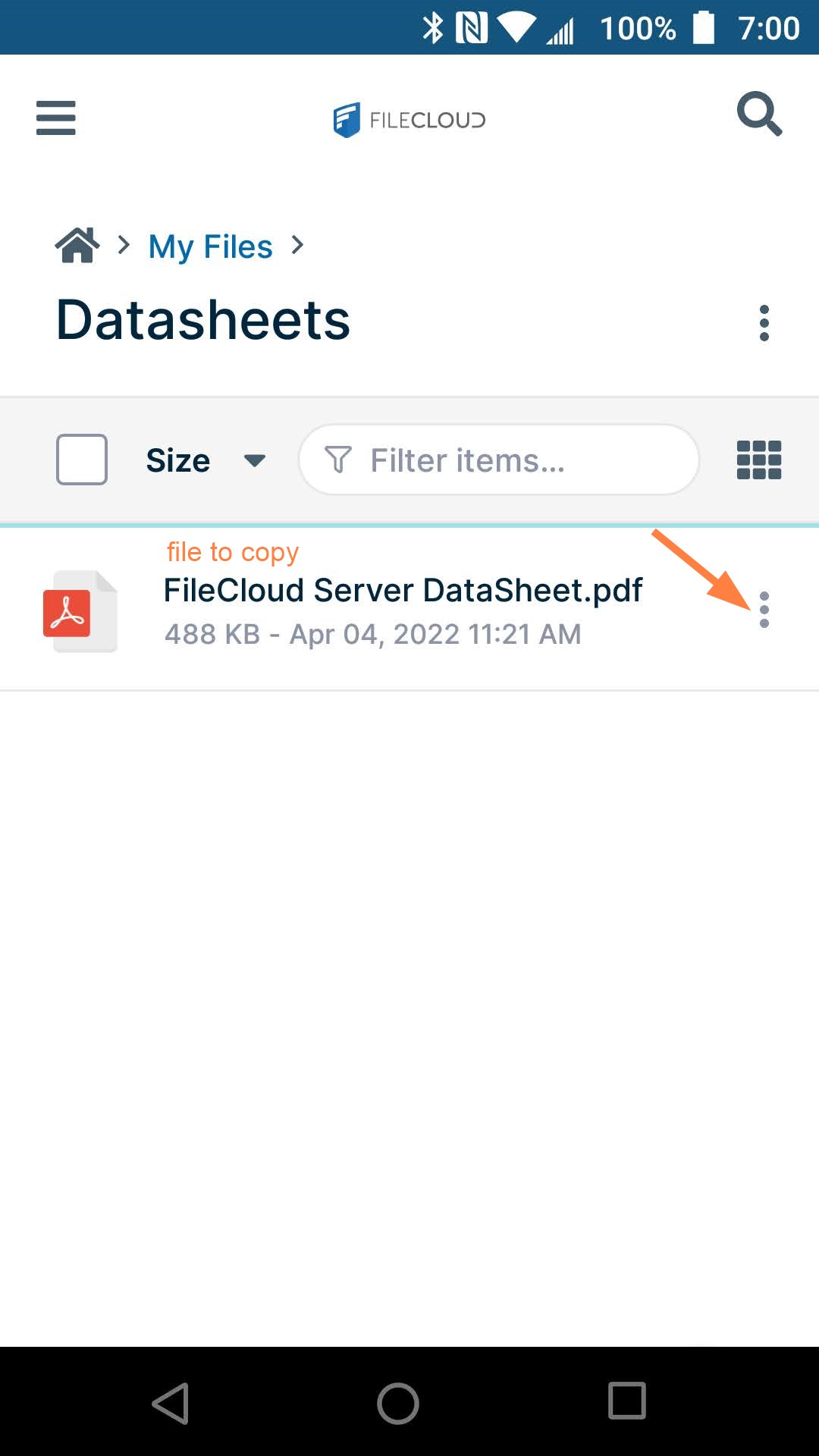 File to copy.jpg