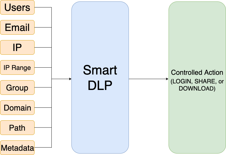 Full DLP Diagram (2).png
