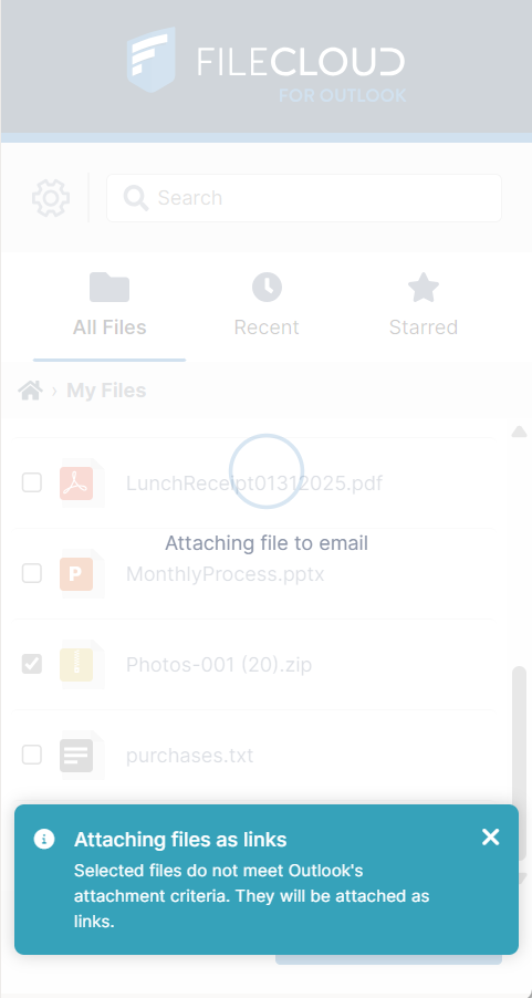 AttachAsLink.png