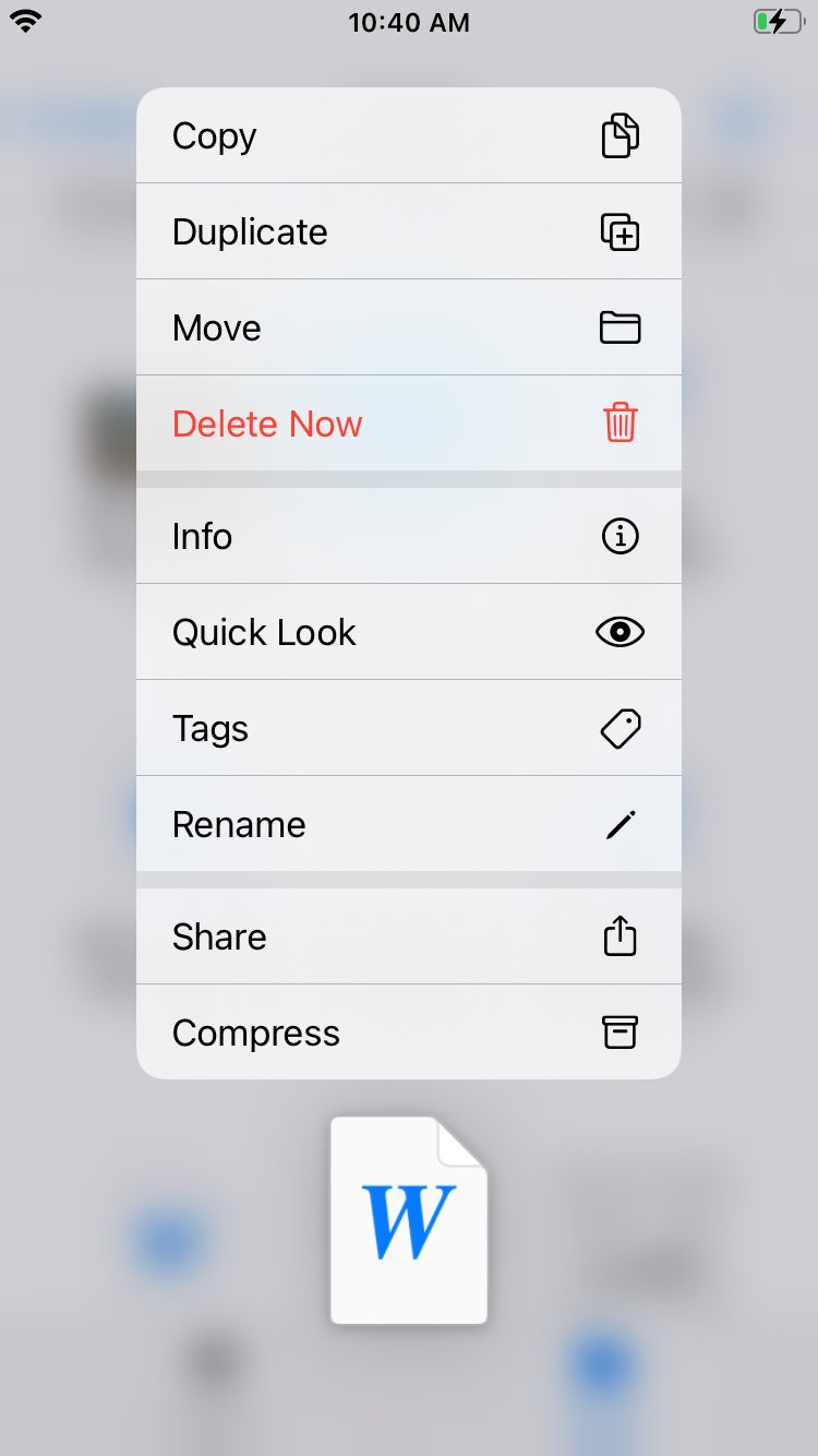 iOS FileActions.png