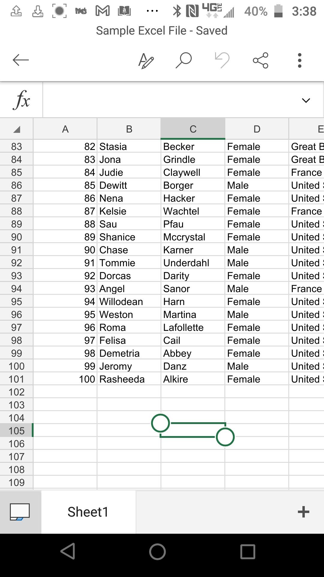 File opened in Excel.jpg