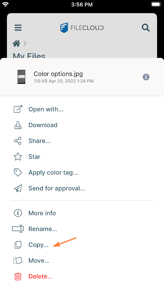 iOS Options Copy.png