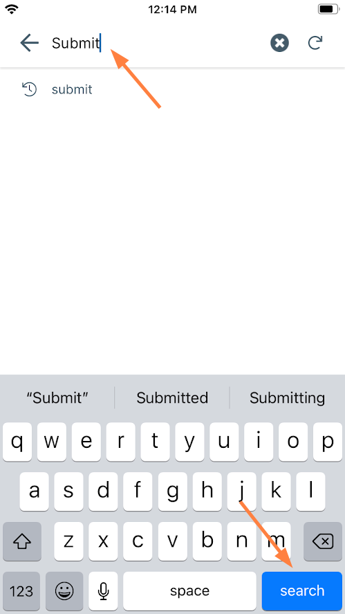 iOS EnterTerm.png