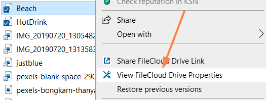 DriveViewProperties.png