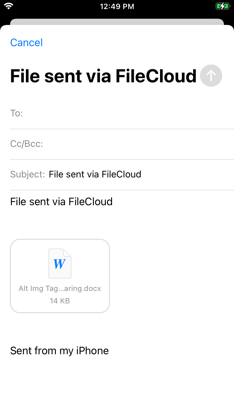 iOS FileSent.png