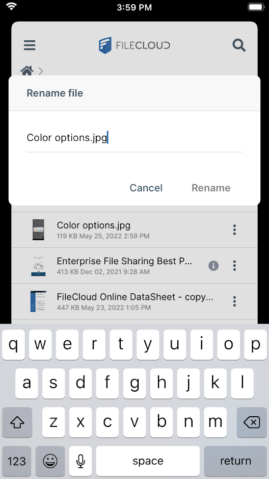 iOS Rename.PNG