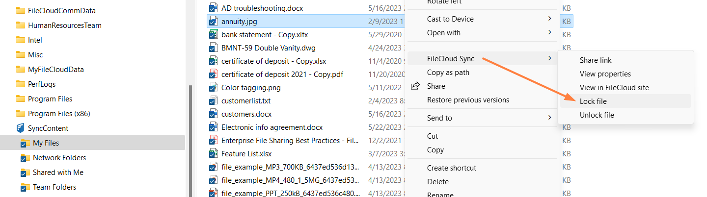 LockFile.png