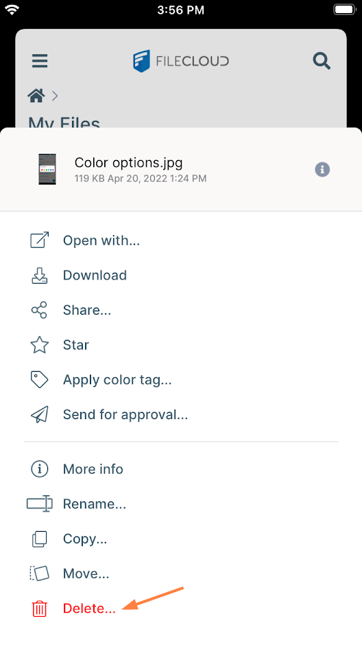 iOS OptionsDelete.png