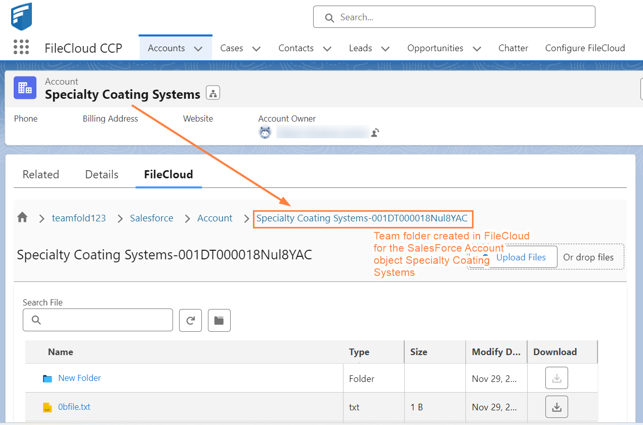 SalesForceAcctObject.png
