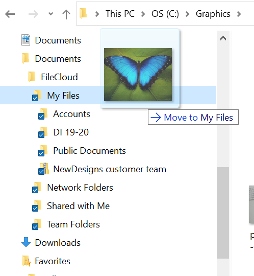 SyncDragToMyFiles.png