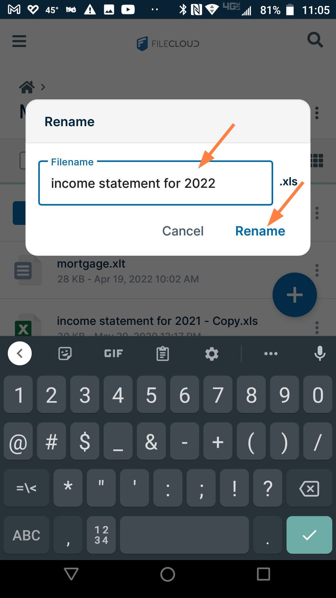 Enter new filename.jpg