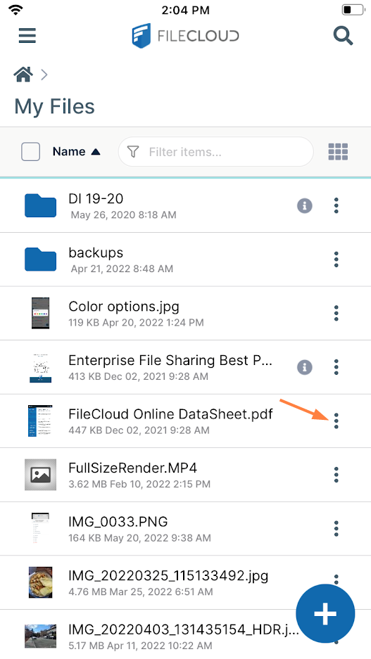 iOS FileToShare.PNG