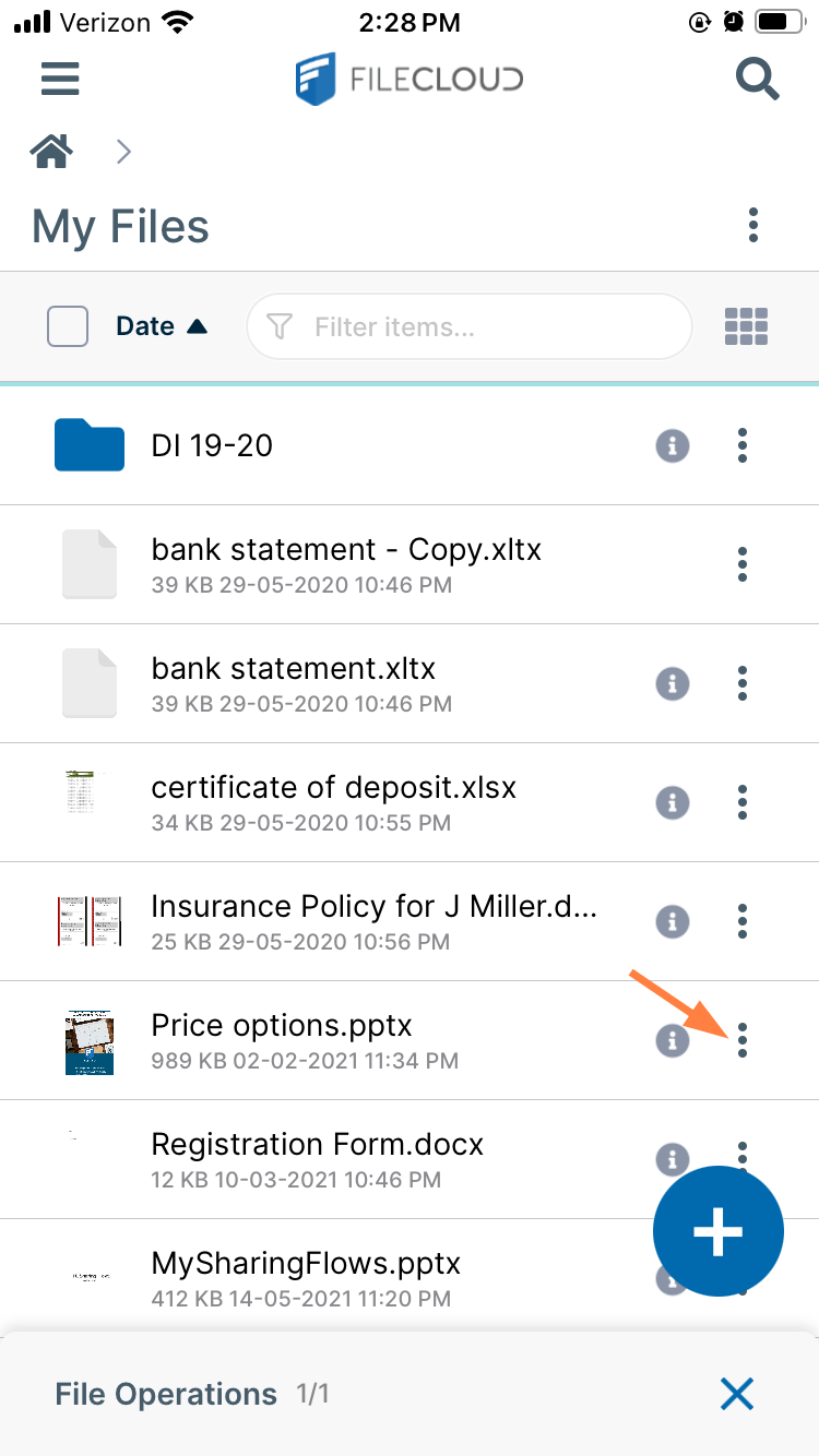 MyFilesDownload.png