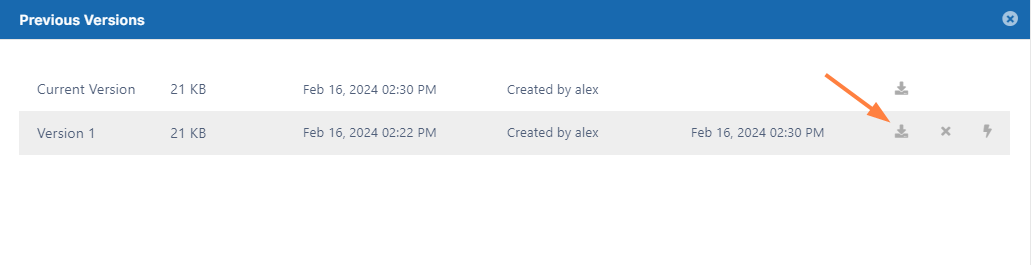 DownloadVersion.png
