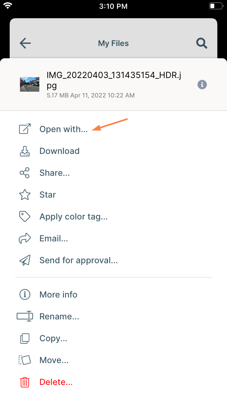 iOS OpenWithTwo.png