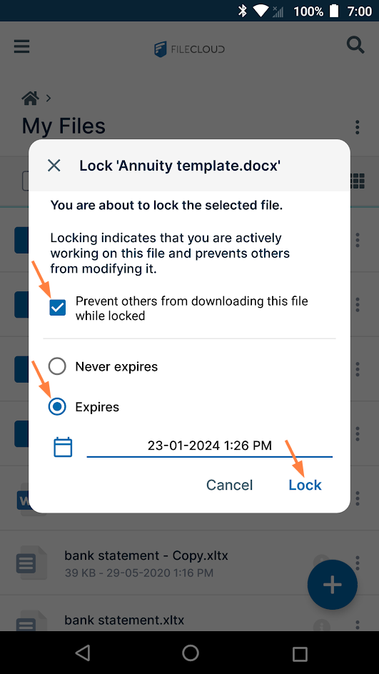 LockOptions.png