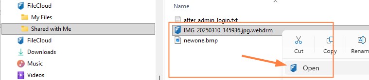 OpenWebDRM.png