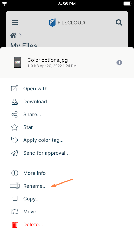 iOS Options Rename.png