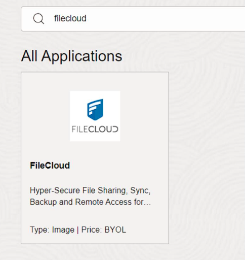 EnterFileCloud.png