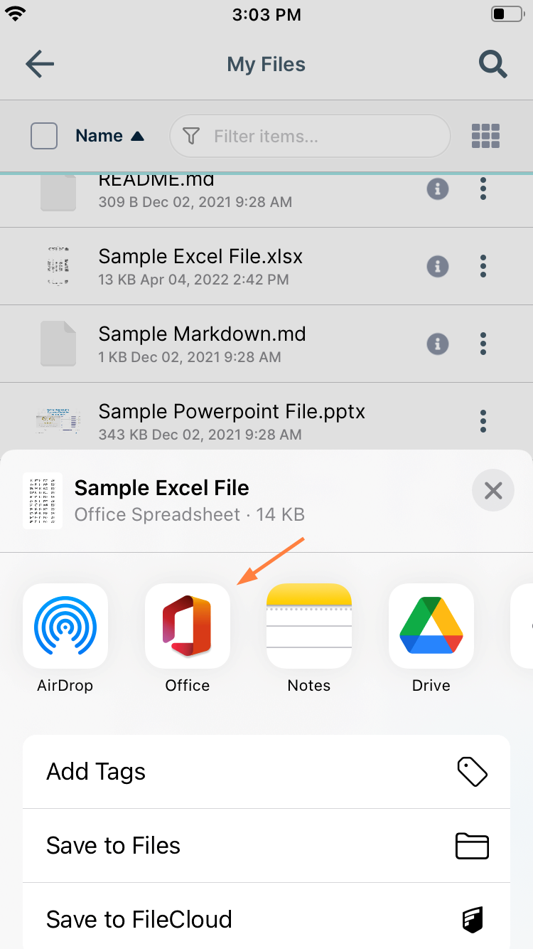 iOS OpenWithExcel.png