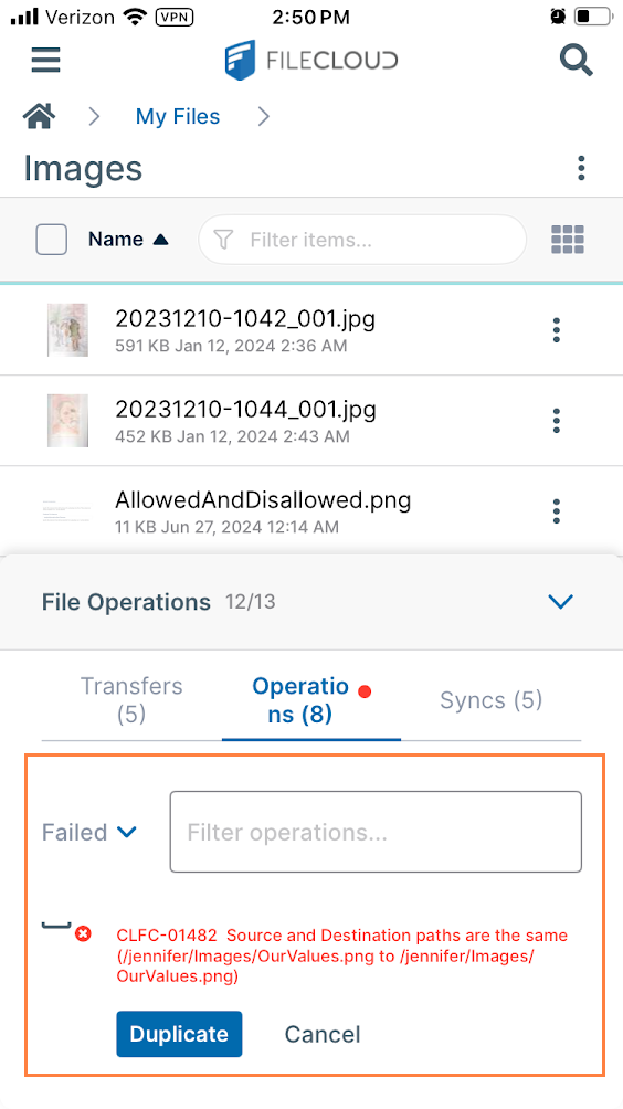 Duplicate.PNG