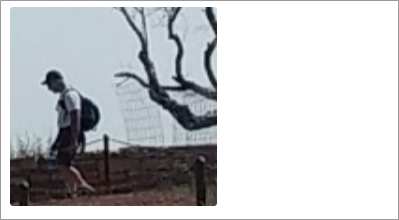 FCImageMD.png